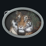 Tiger 4 Belt Buckle<br><div class="desc">Tiger 4 Belt Buckle</div>