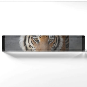 tiger-54 desk name plate