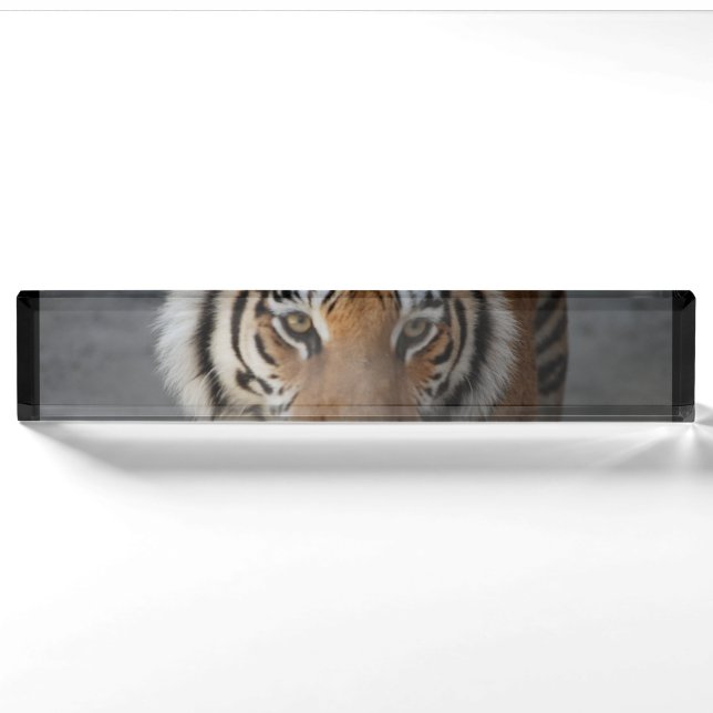 tiger-54 desk name plate (Front)