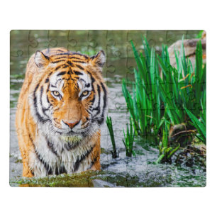Tiger Acrylic Puzzle