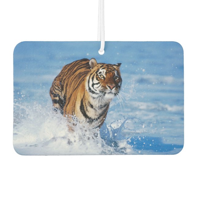 Tiger Air Freshener (Front)