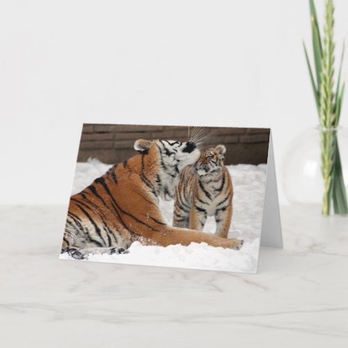 Tiger and Cub Mothers Day Card