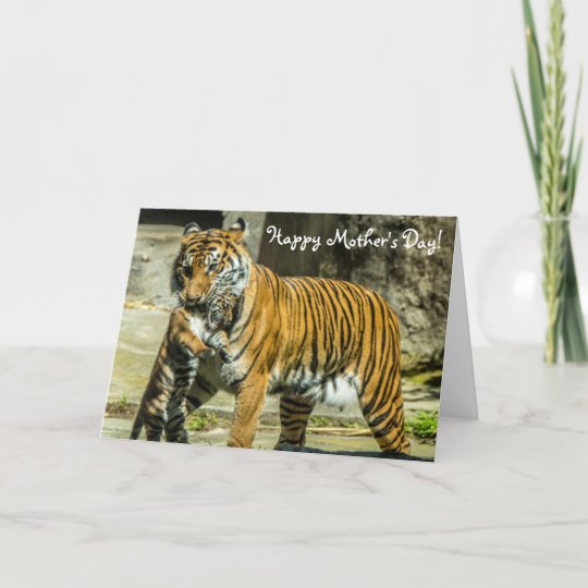 tiger-and-cub-mother-s-day-card-zazzle