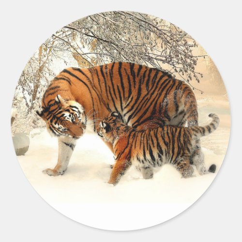 Tiger and Cub Winter Scene Classic Round Sticker
