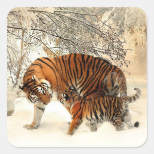 Tiger and Cub, Winter Scene, Square Sticker