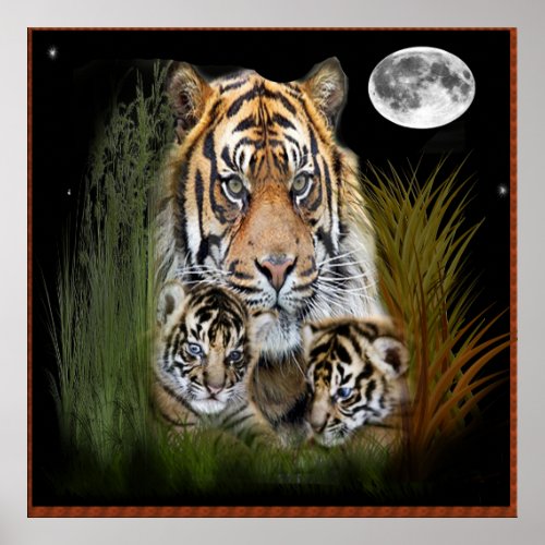 Tiger and cubs poster