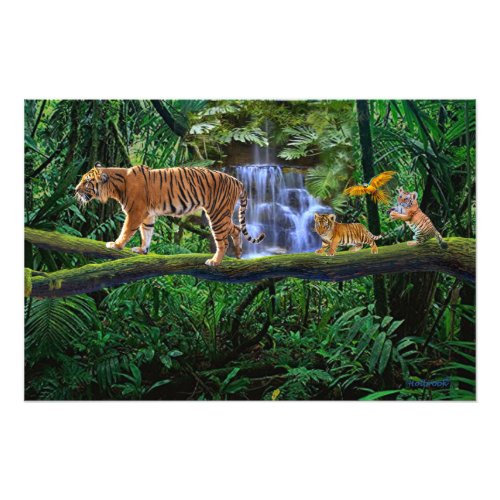 TIGER AND HER CUBS PHOTO PRINT