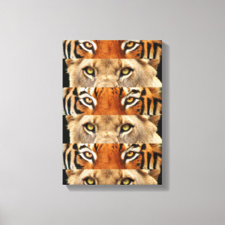 Tiger and Lion eyes Photo Canvas Print