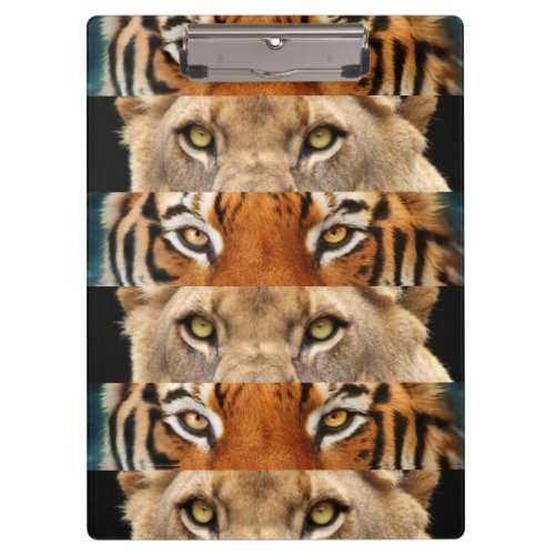 Tiger and Lion eyes Photo Clipboard