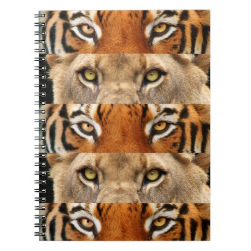 Tiger and Lion eyes Photo Notebook