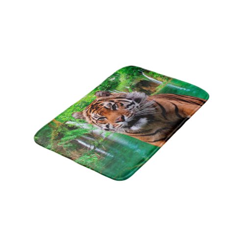 Tiger and Waterfall Bathroom Mat