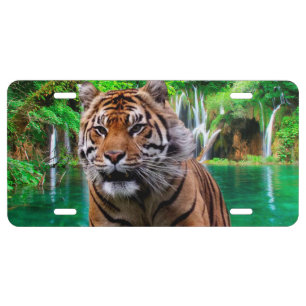Tiger and Waterfall License Plate
