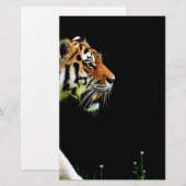 Tiger Approaching - Wild Animal Artwork (Front/Back)