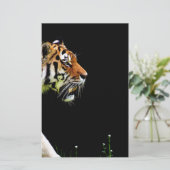 Tiger Approaching - Wild Animal Artwork (Standing Front)
