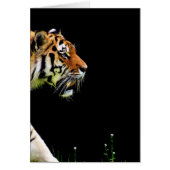 Tiger Approaching - Wild Animal Artwork (Front)