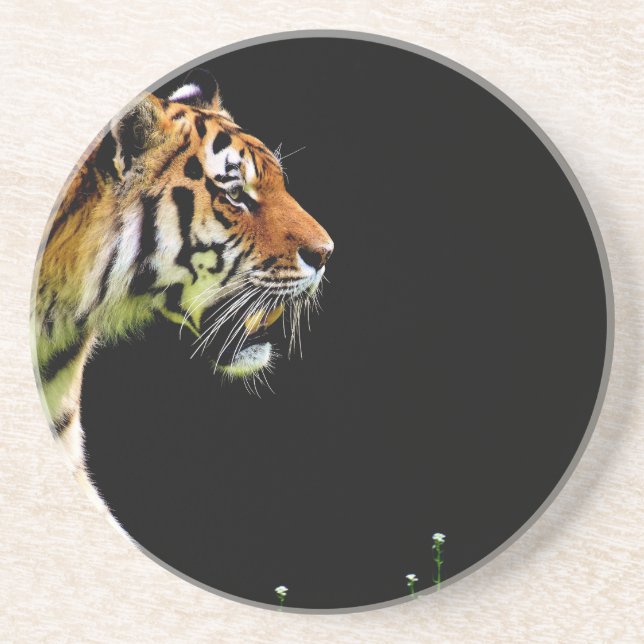 Tiger Approaching - Wild Animal Artwork Drink Coaster (Front)