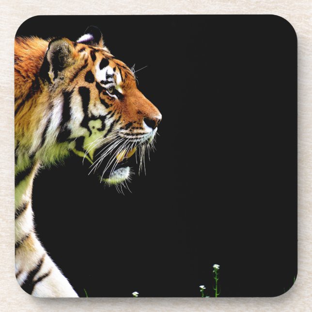 Tiger Approaching - Wild Animal Artwork Drink Coaster (Front)