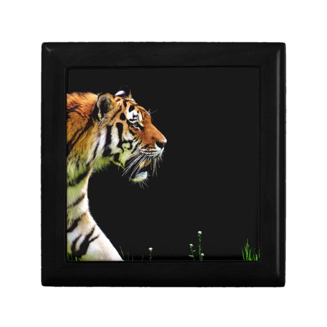 Tiger Approaching - Wild Animal Artwork Gift Box (Front)