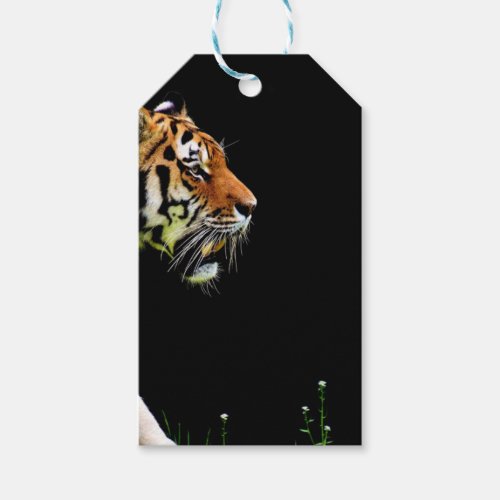 Tiger Approaching _ Wild Animal Artwork Gift Tags