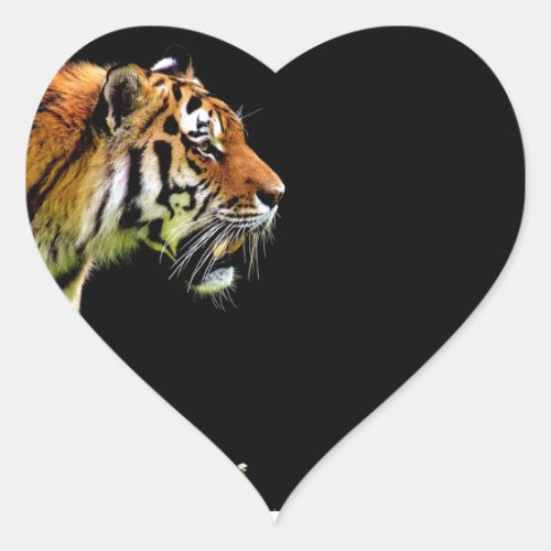 Tiger Approaching _ Wild Animal Artwork Heart Sticker