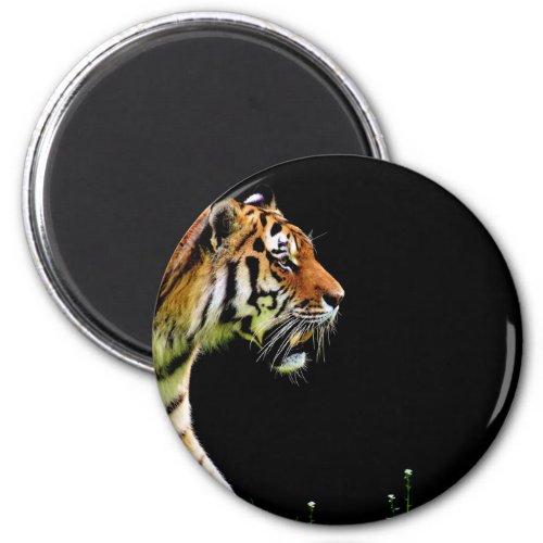 Tiger Approaching _ Wild Animal Artwork Magnet