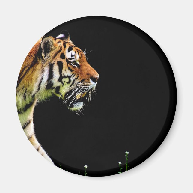 Tiger Approaching - Wild Animal Artwork Magnet (Front)