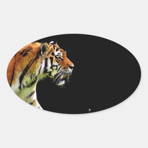 Tiger Approaching _ Wild Animal Artwork Oval Sticker