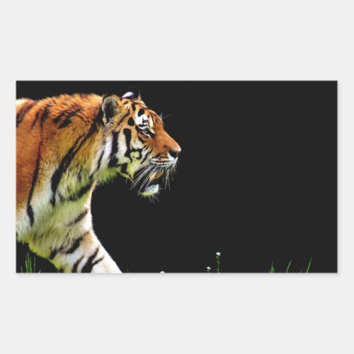 Tiger Approaching _ Wild Animal Artwork Rectangular Sticker