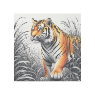 Tiger Art Color Partial Black White Drawing