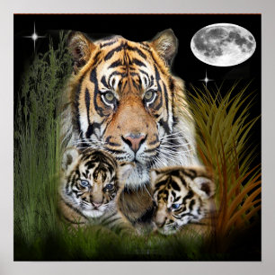 Tiger art poster