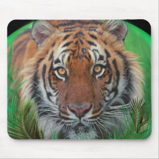 Tiger at night mouse pad