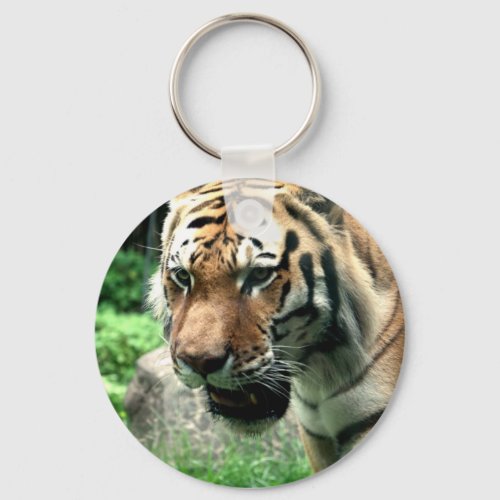 Tiger at the Bronx Zoo Keychain