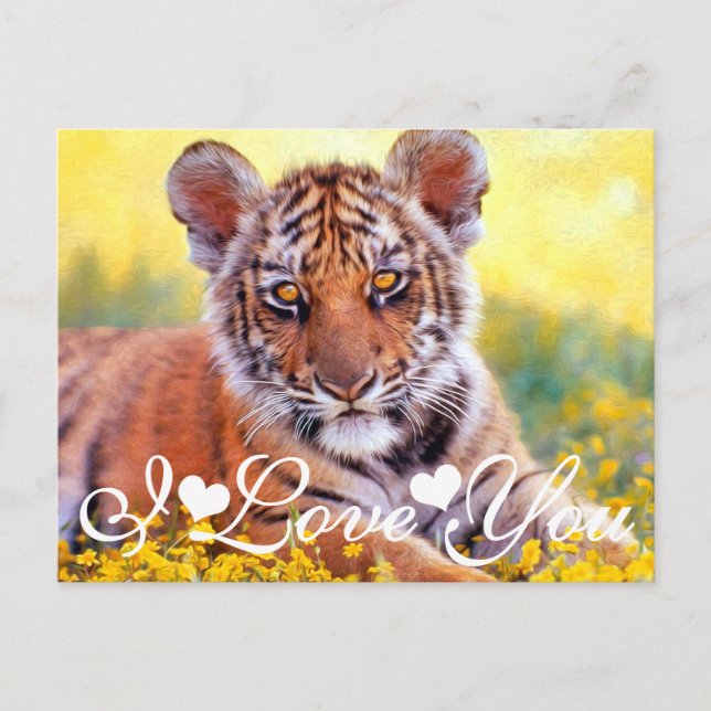 Tiger Baby Cub I Love You Postcard (Front)