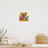 Tiger Baby Cub Poster (Kitchen)