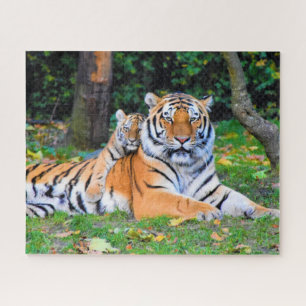 Tiger & Baby Posing Beautifully in Grass Together Jigsaw Puzzle