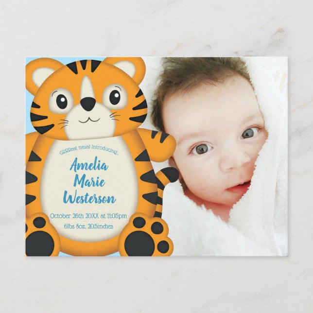 Tiger Baby Shower Safari Postcard (Front)