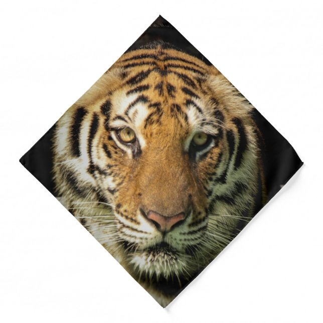 tiger bandana (Front)
