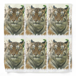 Tiger Bandana