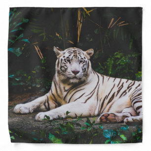 Tiger Bandana