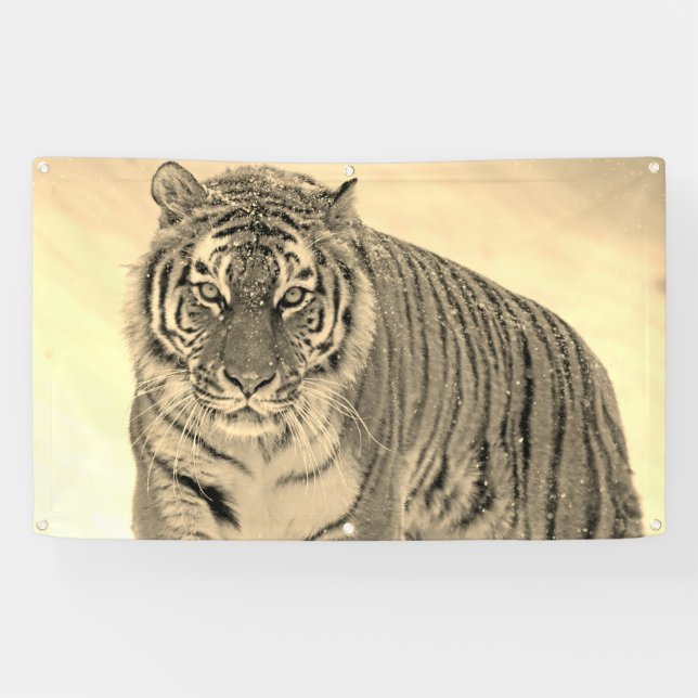 Tiger Banner (Horizontal)