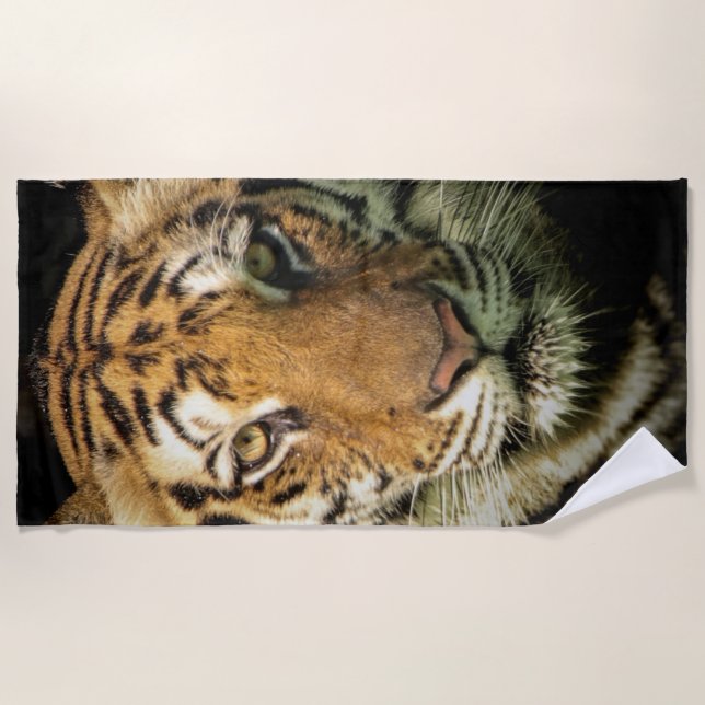 tiger beach towel (Front)