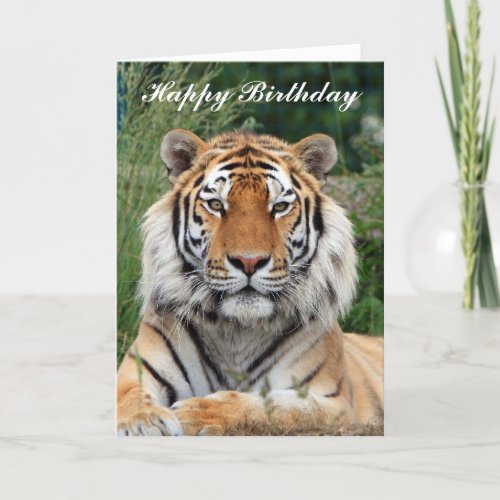 Tiger beautiful portrait happy birthday card