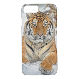 Tiger Beauty in Snow iPhone 8/7 Case