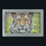 tiger belt buckle<br><div class="desc">Tiger</div>