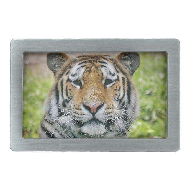 tiger belt buckle (Front)
