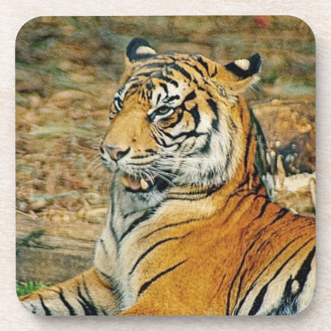 Tiger Beverage Coaster (Front)