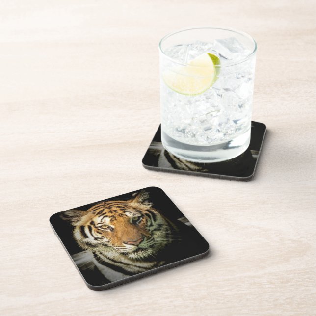 tiger beverage coaster (Right Side)