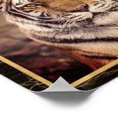 Tiger Big Cat Photo Image Print Poster (Corner)