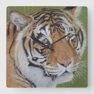 tiger big cat realist portrait wildlife square wall clock