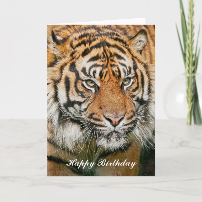 Tiger Birthday Card (Front)